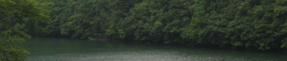 header